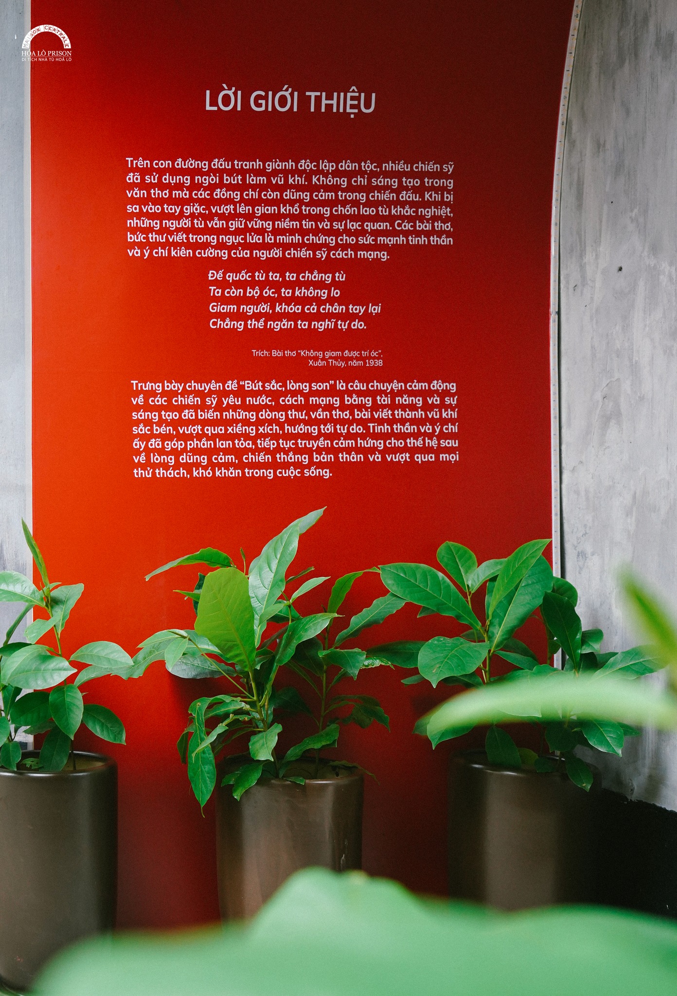 Những triển lãm Những triển lãm