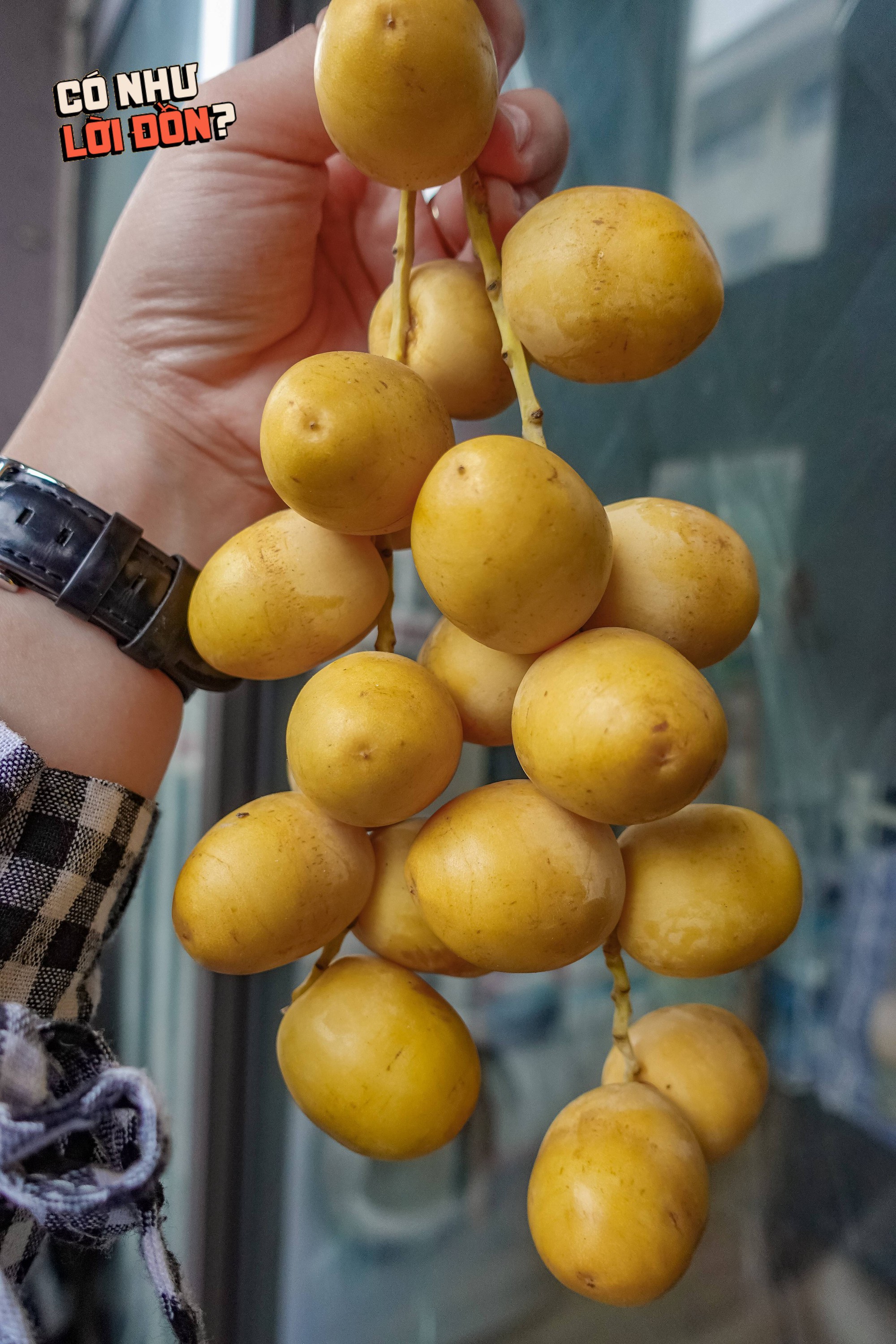 Check var loại quả Check var loại quả