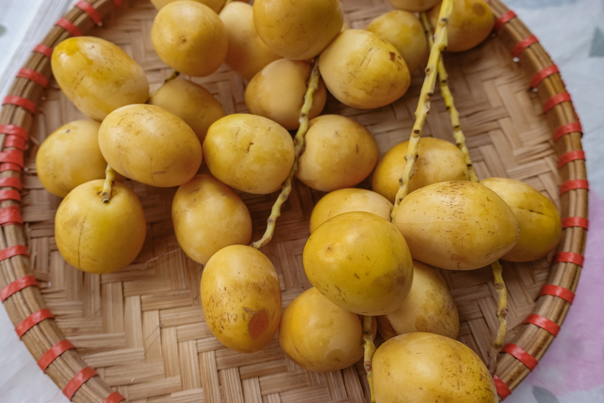 Check var loại quả Check var loại quả