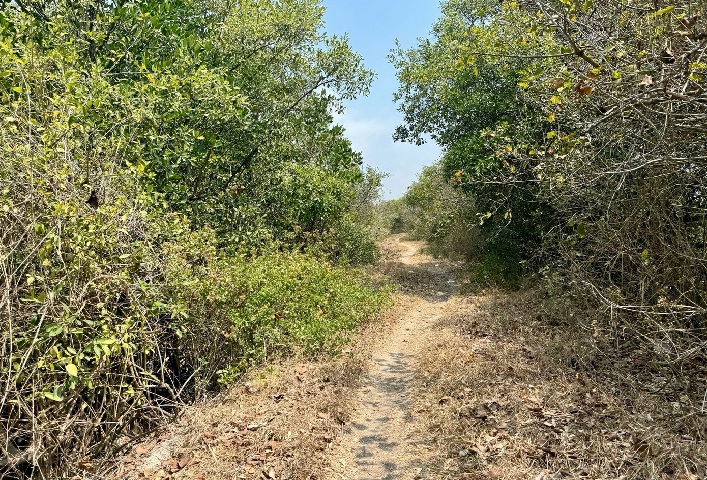 Chậm trễ dự án gần 500 tỷ được kỳ vọng 'lá phổi xanh' giữa lòng đô thị- Ảnh 8.