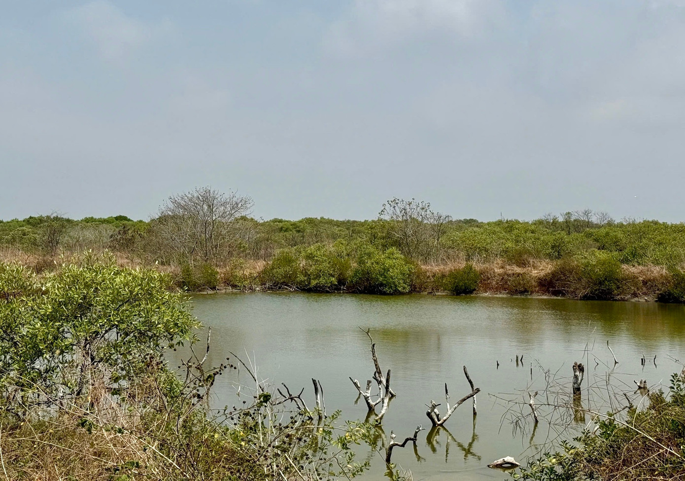 Chậm trễ dự án gần 500 tỷ được kỳ vọng 'lá phổi xanh' giữa lòng đô thị- Ảnh 1.