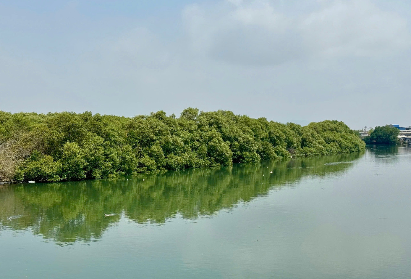 Chậm trễ dự án gần 500 tỷ được kỳ vọng 'lá phổi xanh' giữa lòng đô thị- Ảnh 2.