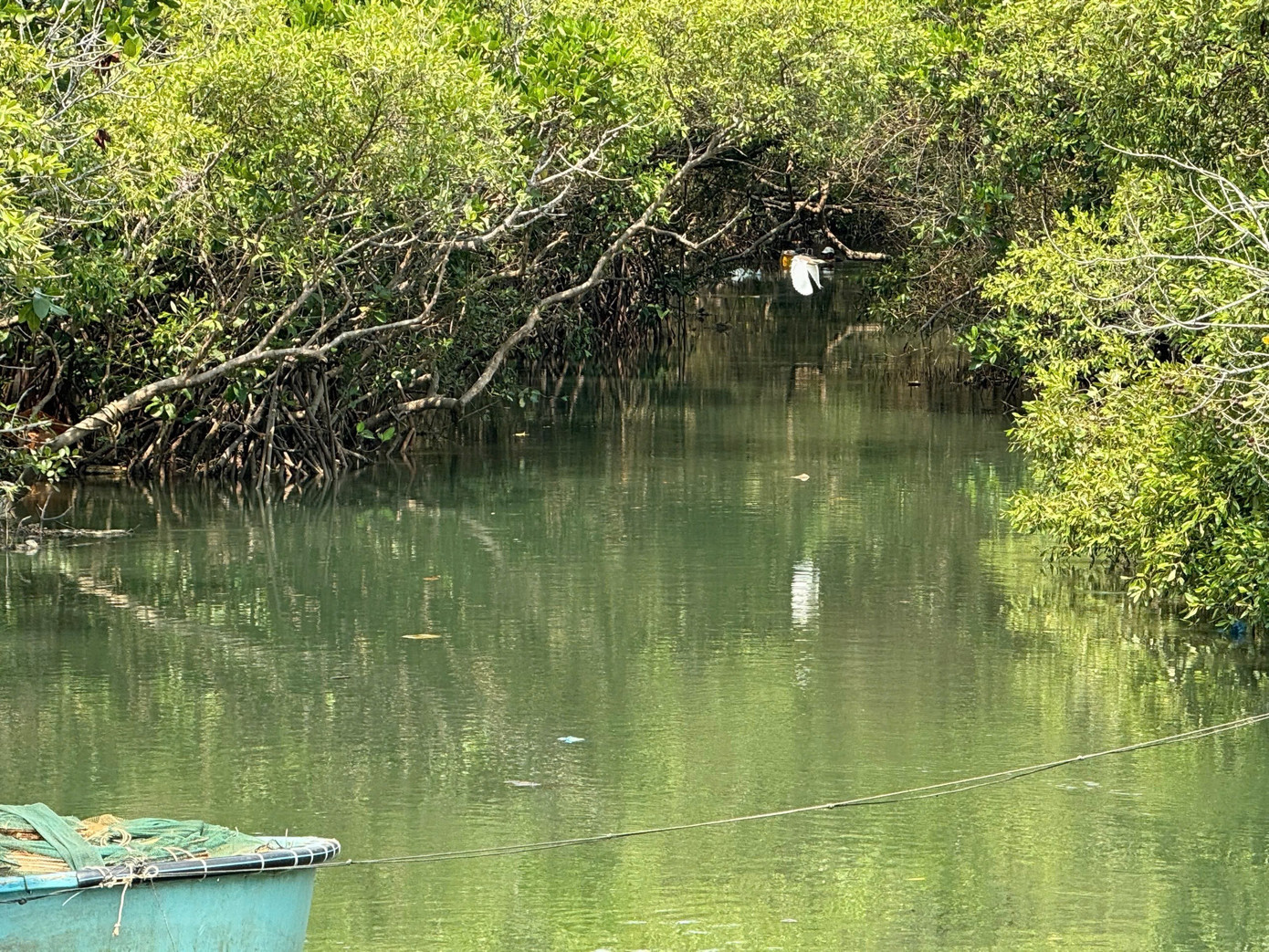 Chậm trễ dự án gần 500 tỷ được kỳ vọng 'lá phổi xanh' giữa lòng đô thị- Ảnh 4.