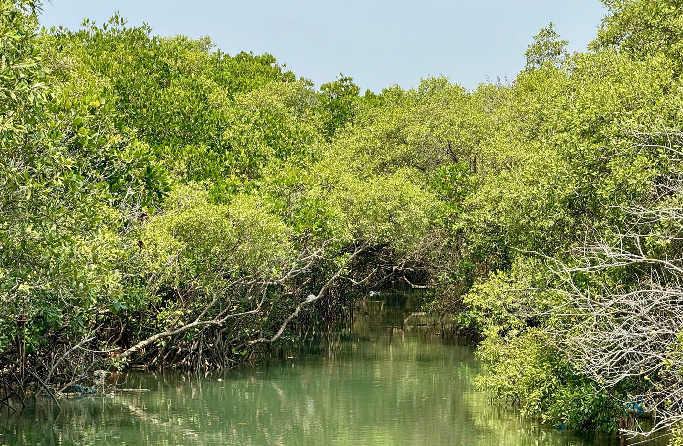 Chậm trễ dự án gần 500 tỷ được kỳ vọng 'lá phổi xanh' giữa lòng đô thị- Ảnh 9.