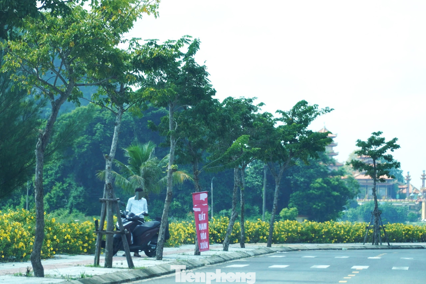 'Cò' nườm nượp, đất Đà Nẵng nhảy giá chóng mặt- Ảnh 5. 'Cò' nườm nượp, đất Đà Nẵng nhảy giá chóng mặt- Ảnh 5.