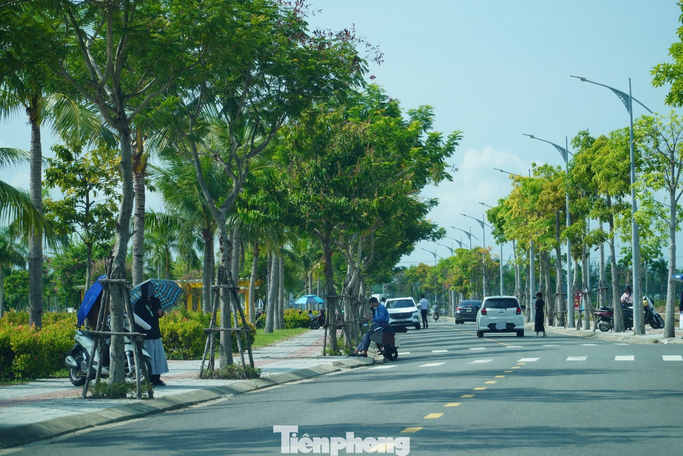 'Cò' nườm nượp, đất Đà Nẵng nhảy giá chóng mặt- Ảnh 6. 'Cò' nườm nượp, đất Đà Nẵng nhảy giá chóng mặt- Ảnh 6.