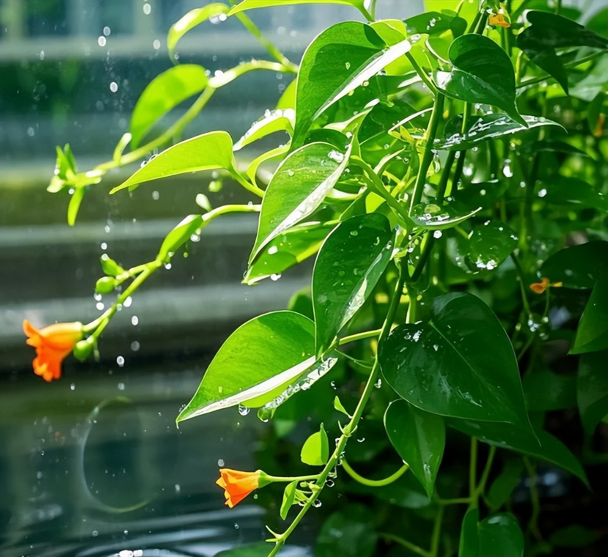 Nhìn 8 dấu hiệu này, biết ngay nhà bạn có mang lại phúc khí và tài lộc không- Ảnh 1. Nhìn 8 dấu hiệu này, biết ngay nhà bạn có mang lại phúc khí và tài lộc không- Ảnh 1.