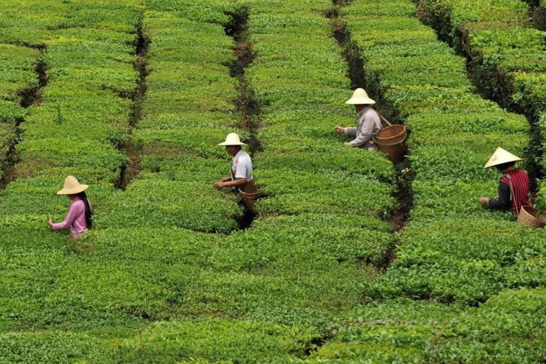 Giá giảm hơn 80%, một loại bong bóng vừa vỡ ở nền kinh tế ngay cạnh Việt Nam?- Ảnh 1.