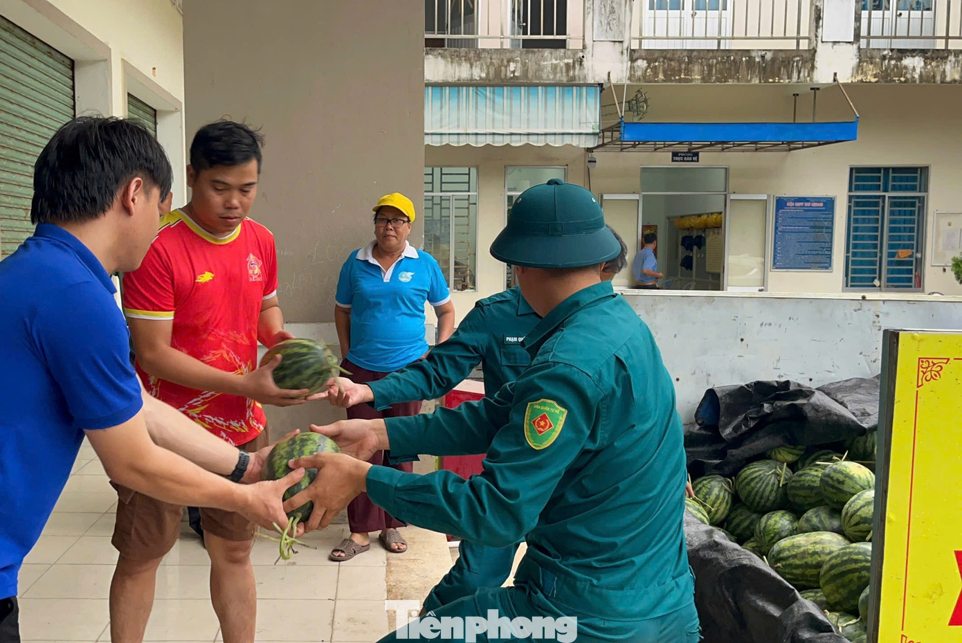 Bão số 5 áp sát, cả phường ngược xuôi giải cứu dưa hấu- Ảnh 6.