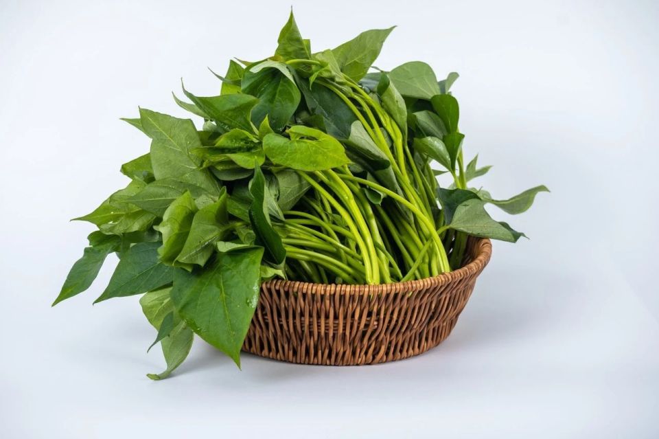 Loại rau bị nhiều người Việt chê nhưng sang Mỹ lại được "săn đón", giá lên tới tiền triệu bởi công dụng ức chế tế bào ung thư- Ảnh 2.