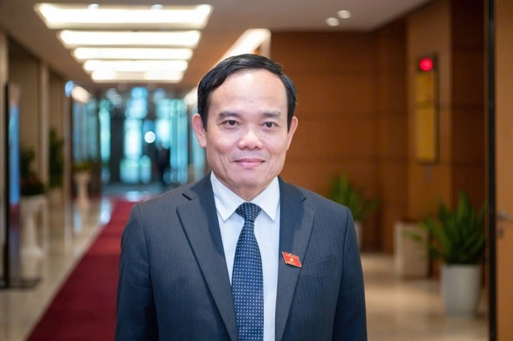 Ông Trần Lưu Quang giữ chức Bí thư Thành ủy TP HCM- Ảnh 1. Ông Trần Lưu Quang giữ chức Bí thư Thành ủy TP HCM- Ảnh 1.