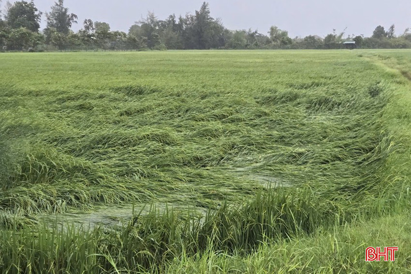 Bão số 5 cách các tỉnh miền Trung khoảng 100km, gấp rút di dời hàng nghìn người dân đến nơi an toàn- Ảnh 13. Bão số 5 cách các tỉnh miền Trung khoảng 100km, gấp rút di dời hàng nghìn người dân đến nơi an toàn- Ảnh 13.