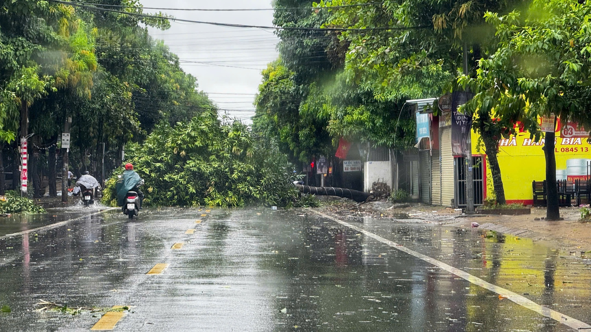 Trước giờ "G" bão số 5 Kajiki đổ bộ, mưa trắng trời, cây đổ, gió giật mạnh- Ảnh 6. Trước giờ "G" bão số 5 Kajiki đổ bộ, mưa trắng trời, cây đổ, gió giật mạnh- Ảnh 6.