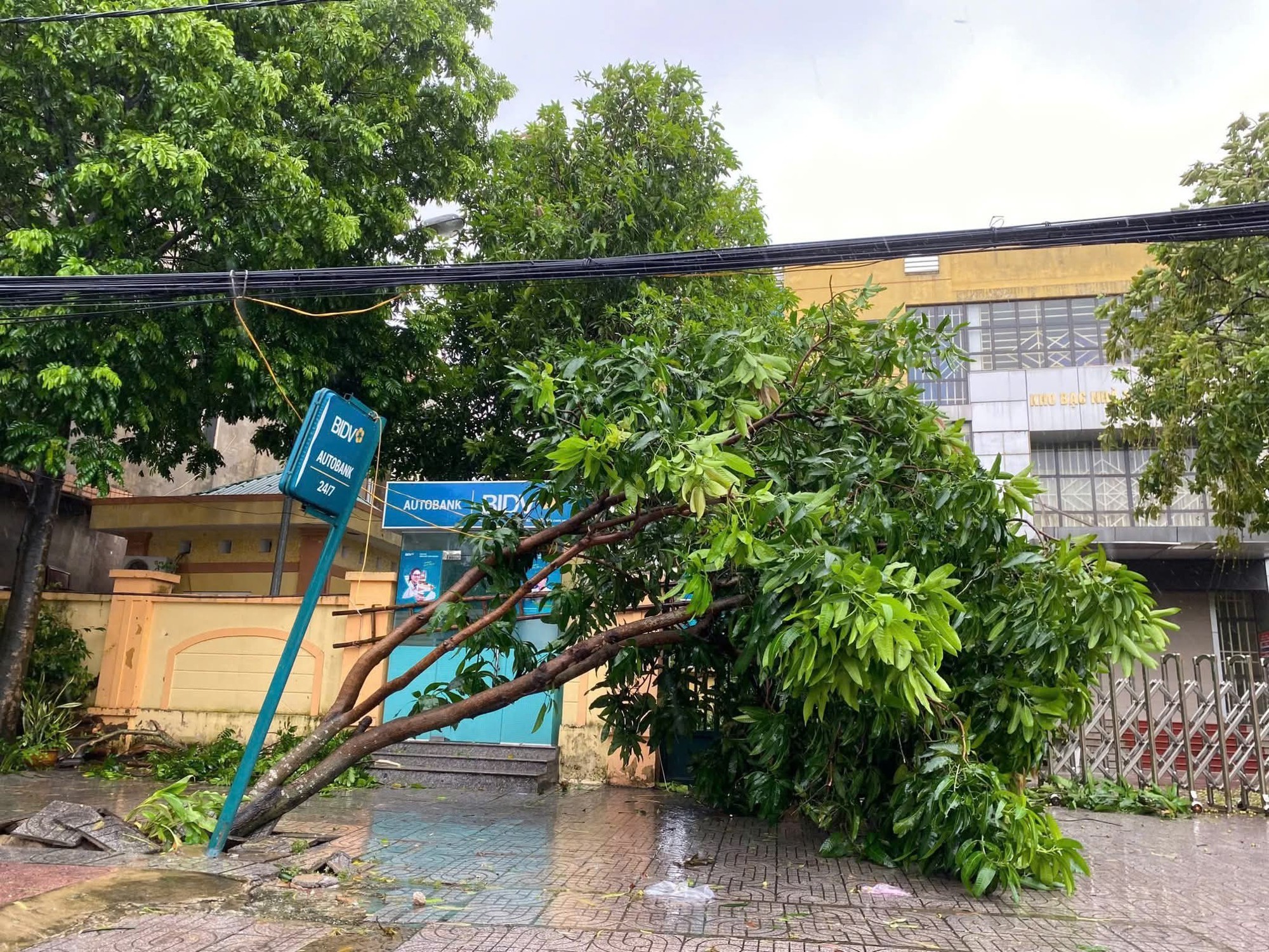 Bão số 5 (Kajiki): Hà Tĩnh mưa to, gió giật tung mái tôn, cây ngã- Ảnh 7. Bão số 5 (Kajiki): Hà Tĩnh mưa to, gió giật tung mái tôn, cây ngã- Ảnh 7.