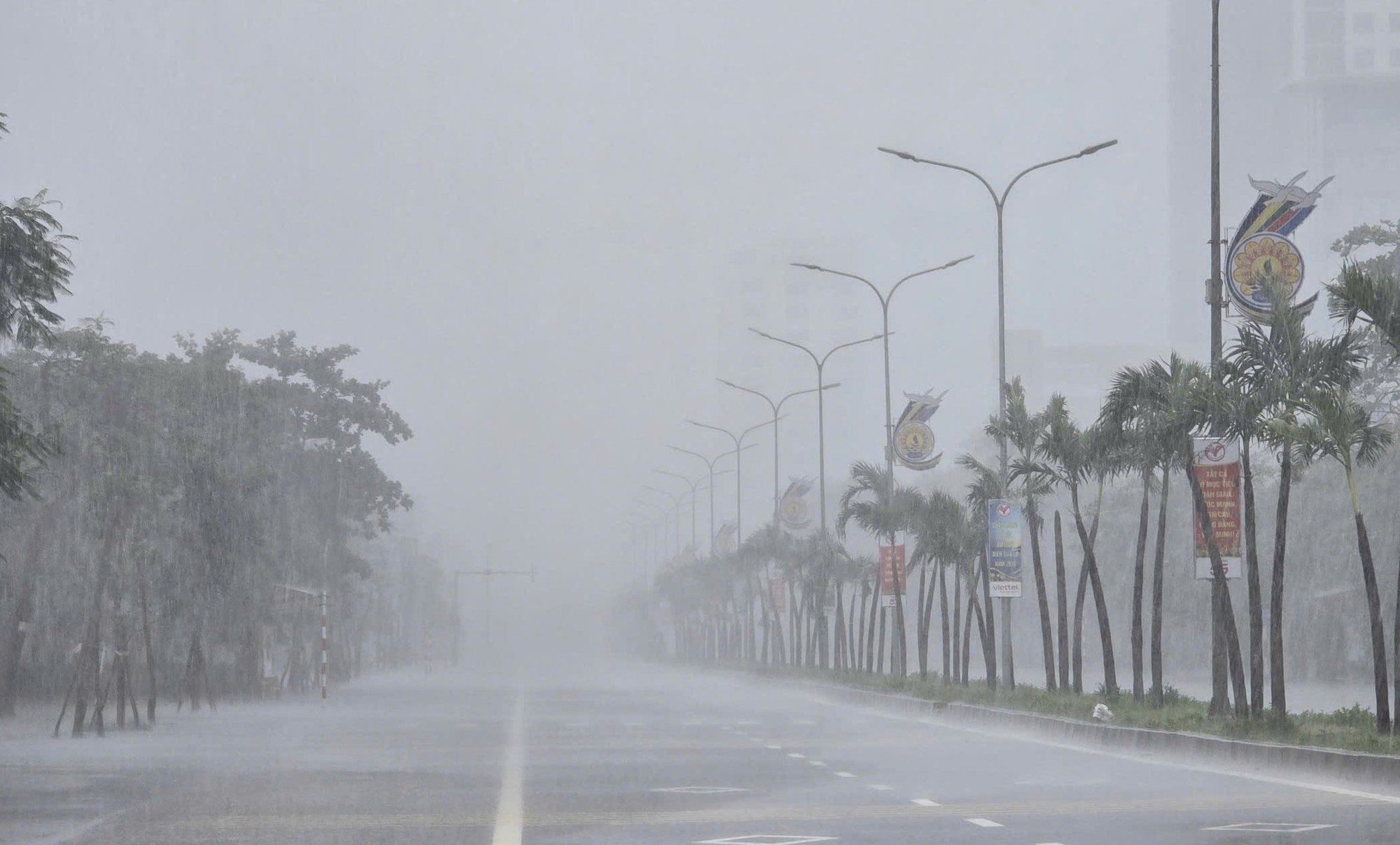 Trước giờ "G" bão số 5 Kajiki đổ bộ, mưa trắng trời, cây đổ, gió giật mạnh- Ảnh 10. Trước giờ "G" bão số 5 Kajiki đổ bộ, mưa trắng trời, cây đổ, gió giật mạnh- Ảnh 10.