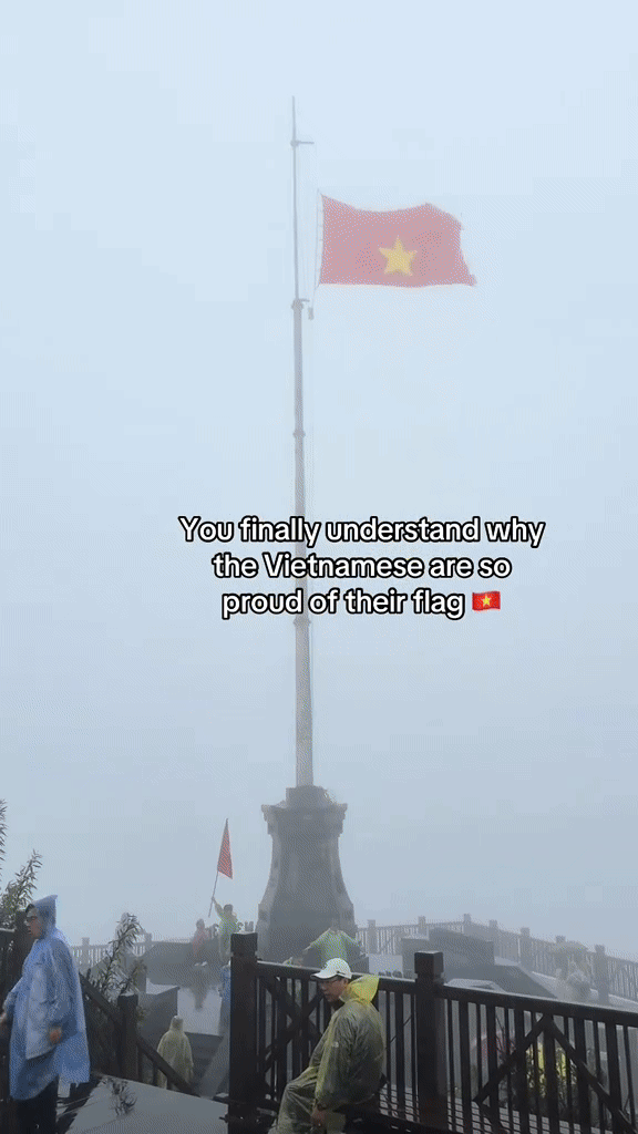Khách Tây ngạc nhiên khi gặp cảnh tượng trên đường phố Việt Nam, nhận xét: "Tôi thấy nó ở mọi nơi!"- Ảnh 1. Khách Tây ngạc nhiên khi gặp cảnh tượng trên đường phố Việt Nam, nhận xét: "Tôi thấy nó ở mọi nơi!"- Ảnh 1.