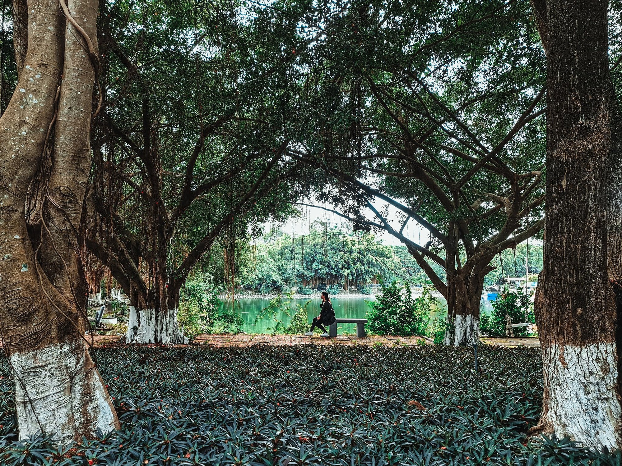 Vách đá lịch sử giữa lòng An Giang- Ảnh 2.