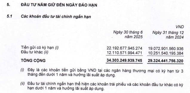 Thế Giới Di Động chi 200 tỷ mua trọn lô trái phiếu một công ty chứng khoán- Ảnh 2.