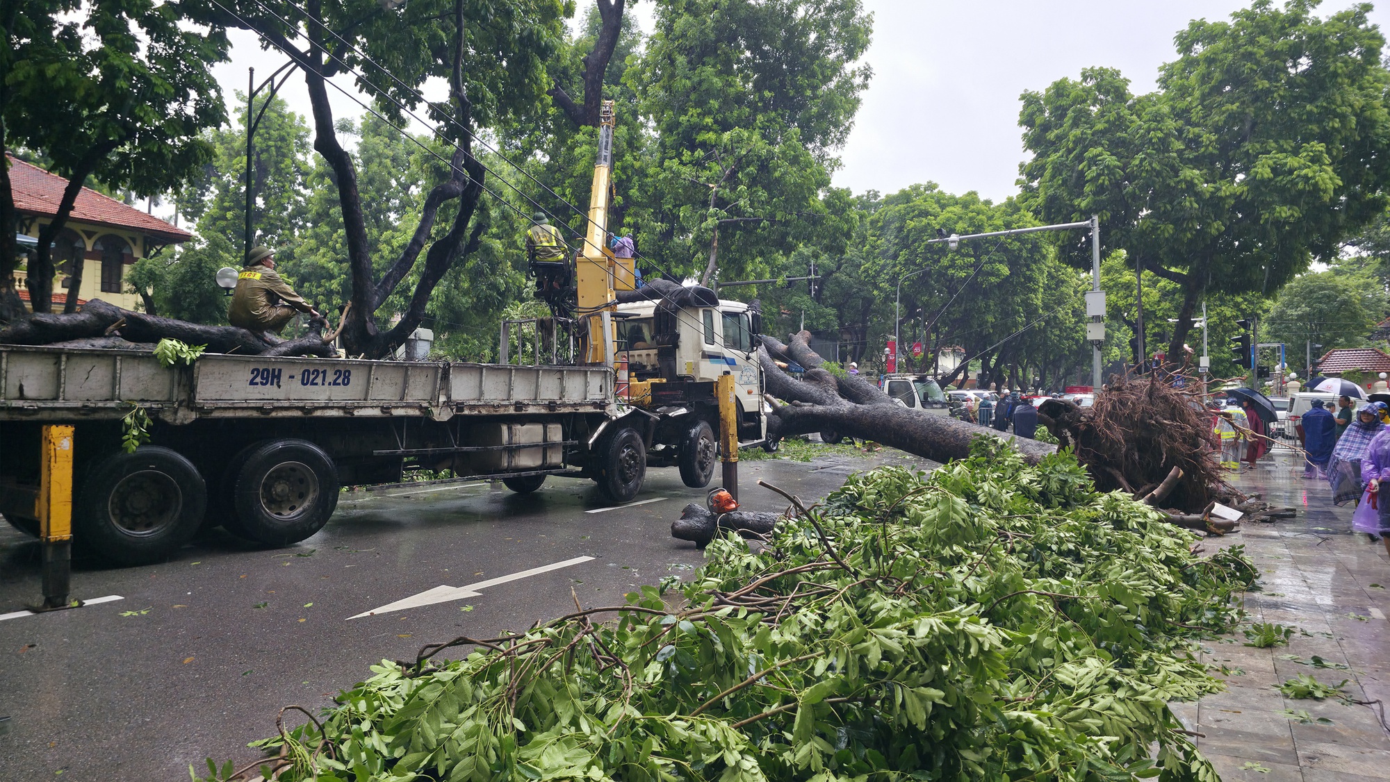 Chủ xe kể 30 giây kinh hoàng khi cây lớn bật gốc đè trúng ô tô giữa phố tại Hà Nội- Ảnh 4.