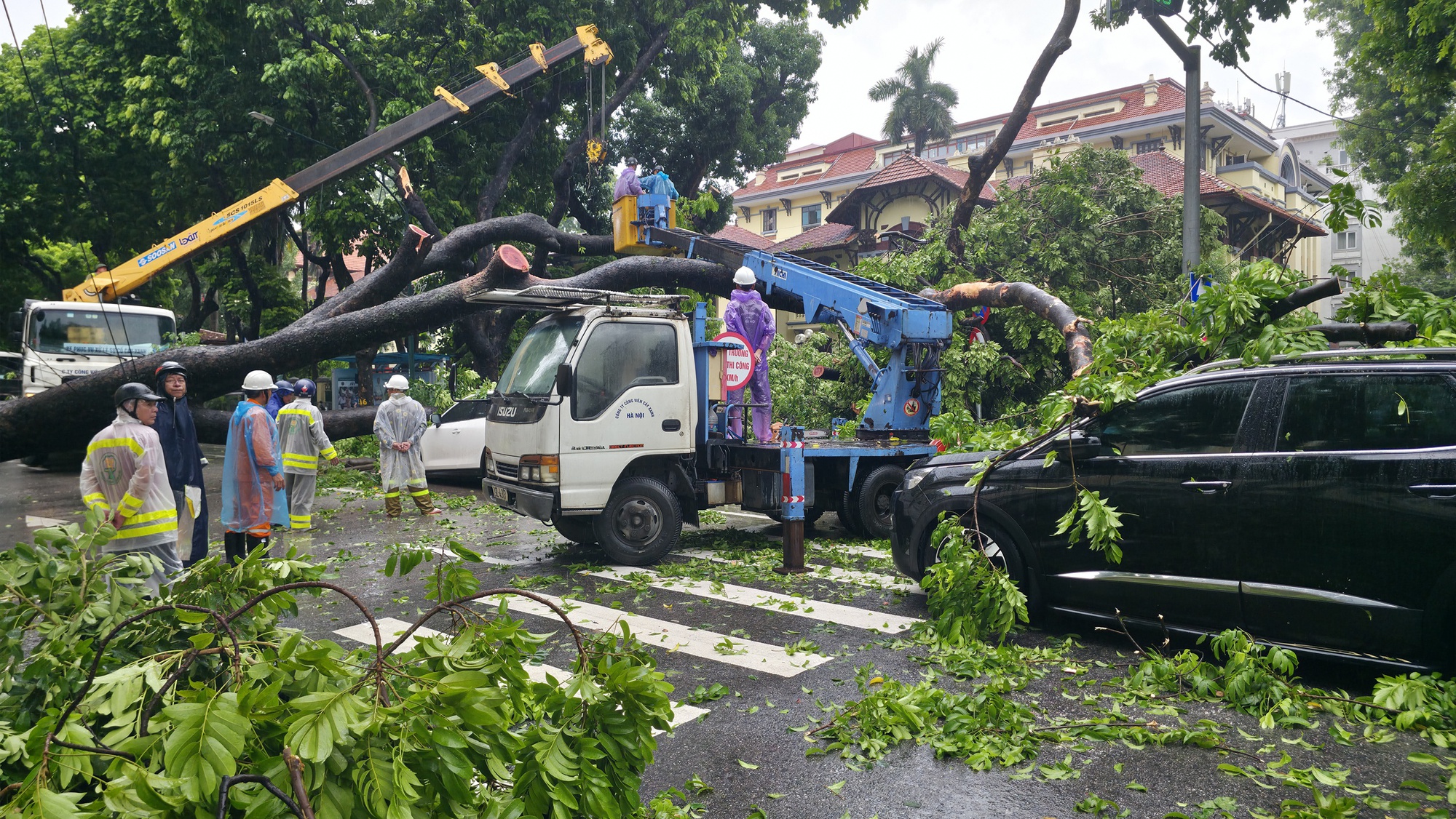 Chủ xe kể 30 giây kinh hoàng khi cây lớn bật gốc đè trúng ô tô giữa phố tại Hà Nội- Ảnh 5.