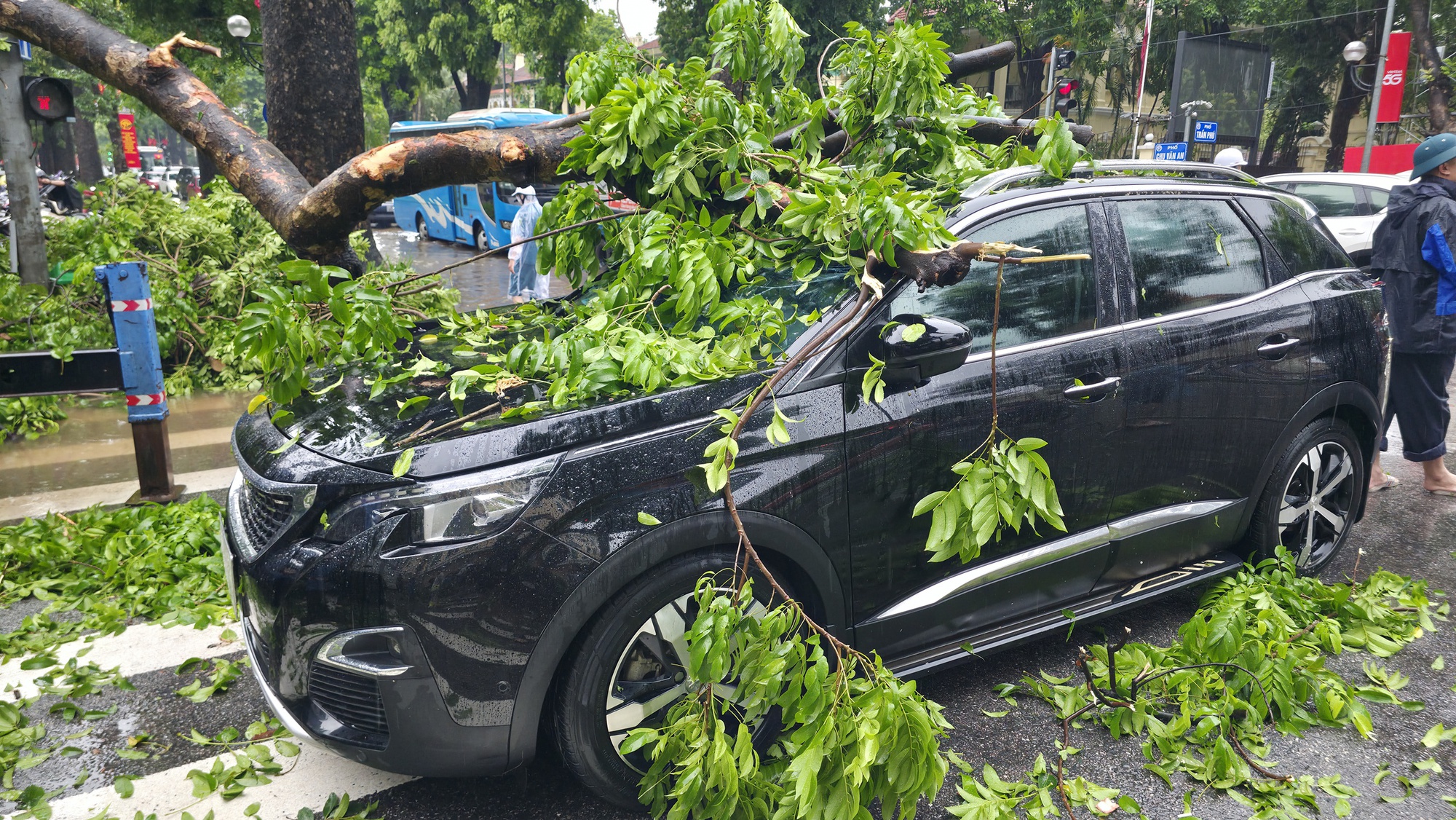 Chủ xe kể 30 giây kinh hoàng khi cây lớn bật gốc đè trúng ô tô giữa phố tại Hà Nội- Ảnh 3.