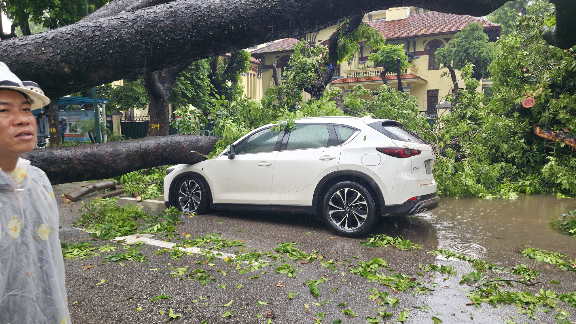 Chủ xe kể 30 giây kinh hoàng khi cây lớn bật gốc đè trúng ô tô giữa phố tại Hà Nội- Ảnh 6.
