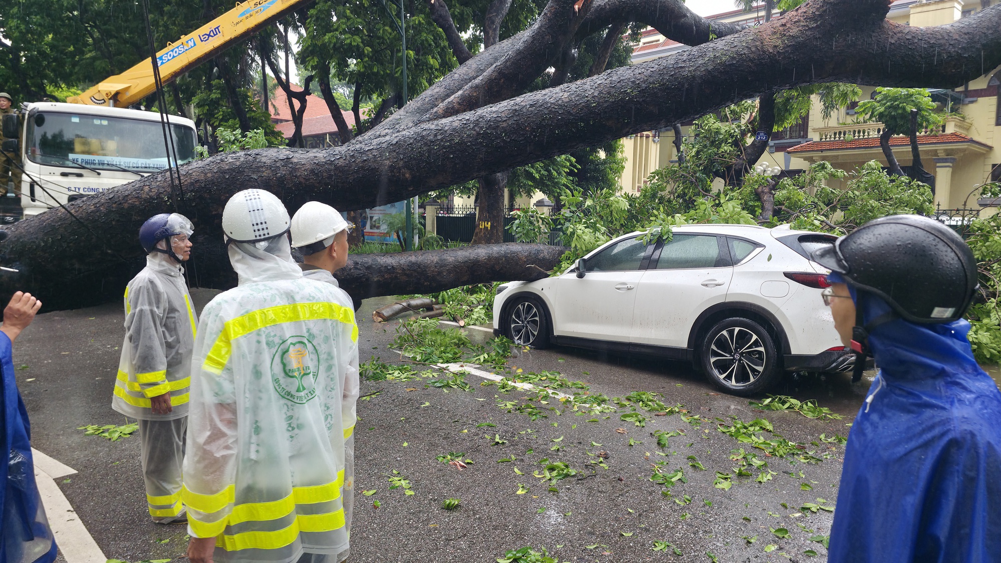 Chủ xe kể 30 giây kinh hoàng khi cây lớn bật gốc đè trúng ô tô giữa phố tại Hà Nội- Ảnh 7.