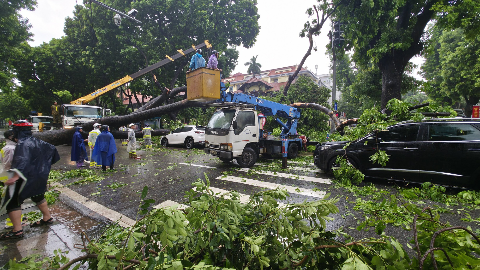 Chủ xe kể 30 giây kinh hoàng khi cây lớn bật gốc đè trúng ô tô giữa phố tại Hà Nội- Ảnh 1.