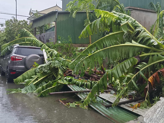 VIDEO: Tan hoang sau khi cuồng phong do bão số 5 quét qua- Ảnh 5.
