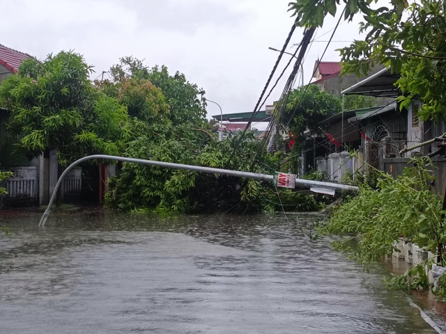 VIDEO: Tan hoang sau khi cuồng phong do bão số 5 quét qua- Ảnh 8.