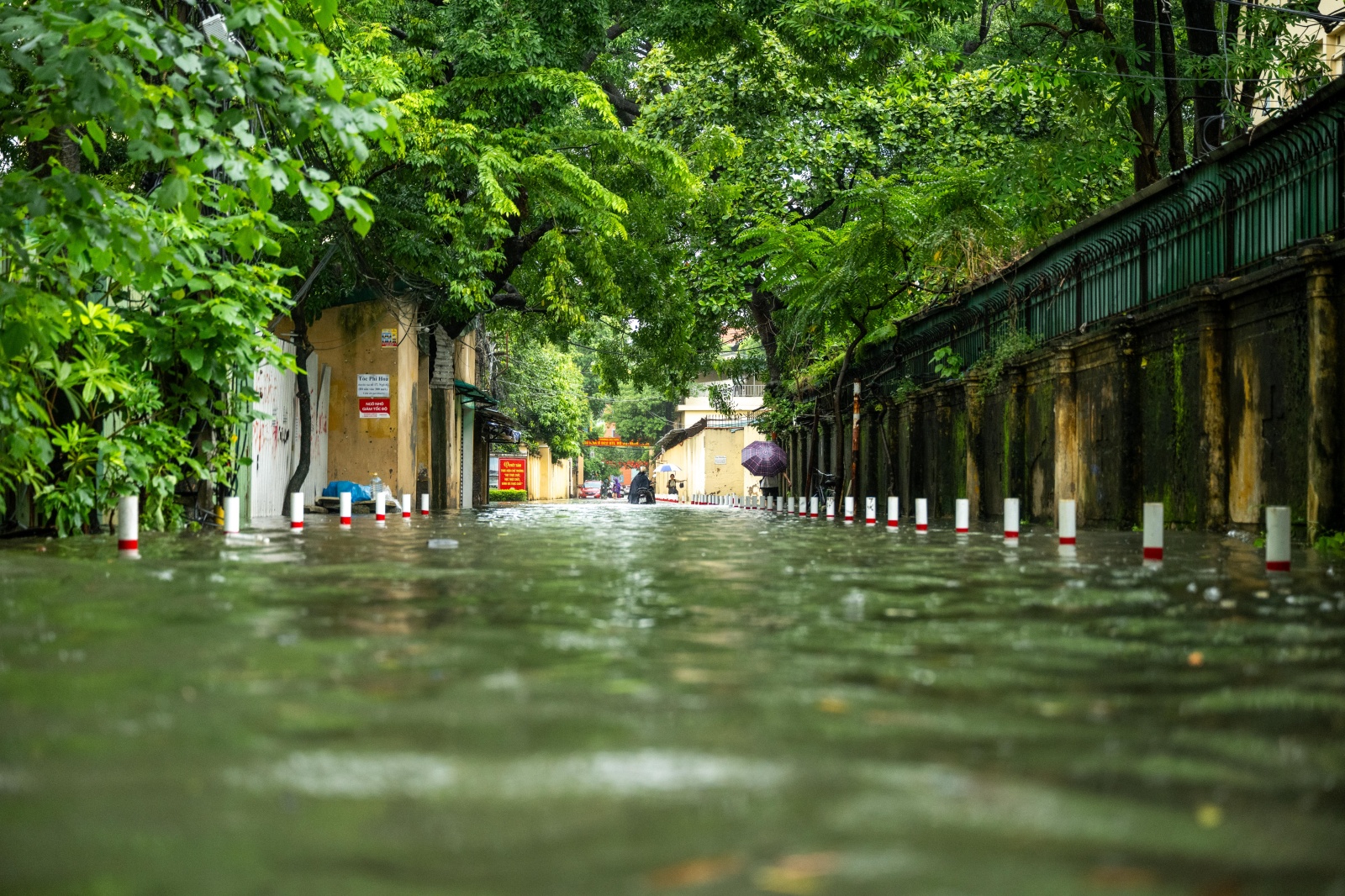 Khung cảnh lạ giữa Hà Nội mênh mông biển nước: Người mang đồ đi bắt cá giữa đường, người lướt ca nô, người đạp vịt trên "vịnh" Văn Quán- Ảnh 1.