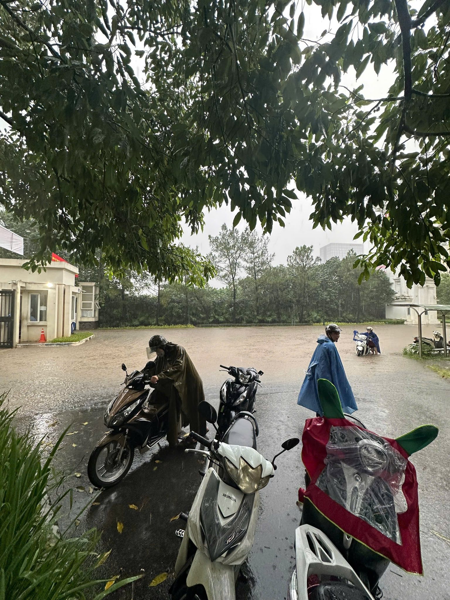 Khu nhà giàu Ciputra hễ mưa là ngập trong 