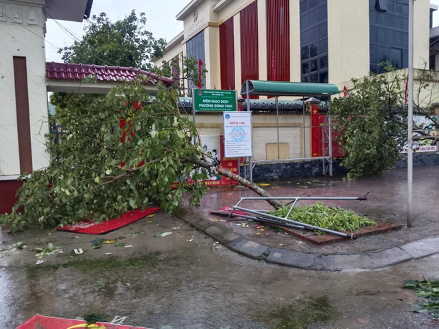 VIDEO: Tan hoang sau khi cuồng phong do bão số 5 quét qua- Ảnh 9.