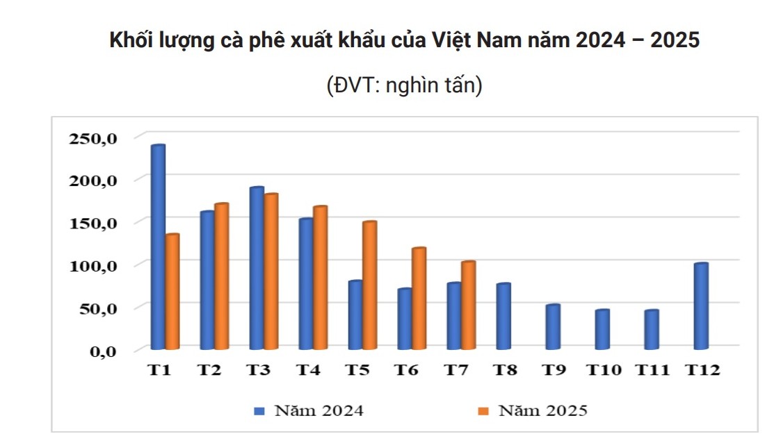 Giá cà phê hôm nay 26-8: Sụt giảm, kho hàng cạn kiệt- Ảnh 2.