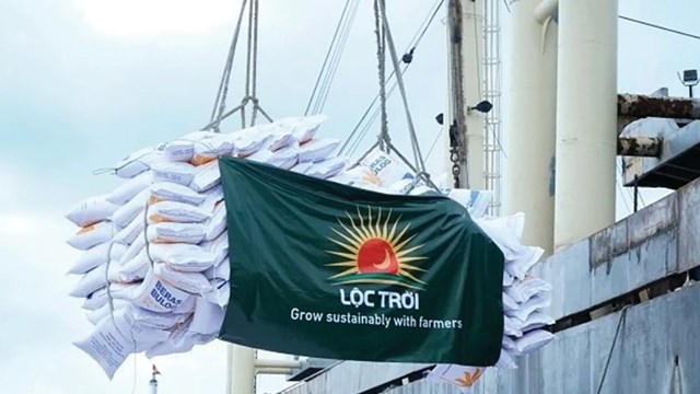 Cổ đông Lộc Trời không chấp nhận kế hoạch lỗ 500 tỷ, không bầu bổ sung thành viên HĐQT- Ảnh 1.