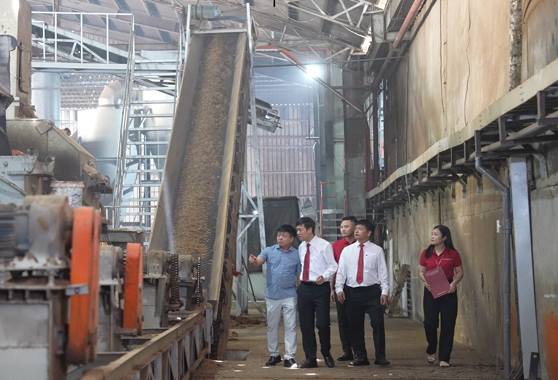 Agribank - Cầu nối chiến lược đưa tín chỉ carbon Việt Nam vươn ra thị trường quốc tế- Ảnh 1. Agribank - Cầu nối chiến lược đưa tín chỉ carbon Việt Nam vươn ra thị trường quốc tế- Ảnh 1.