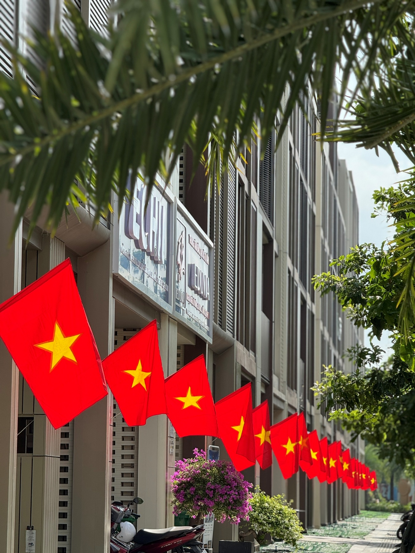 Cư dân Masterise Homes nhận quà yêu nước chung tay phủ đỏ Việt Nam- Ảnh 7.