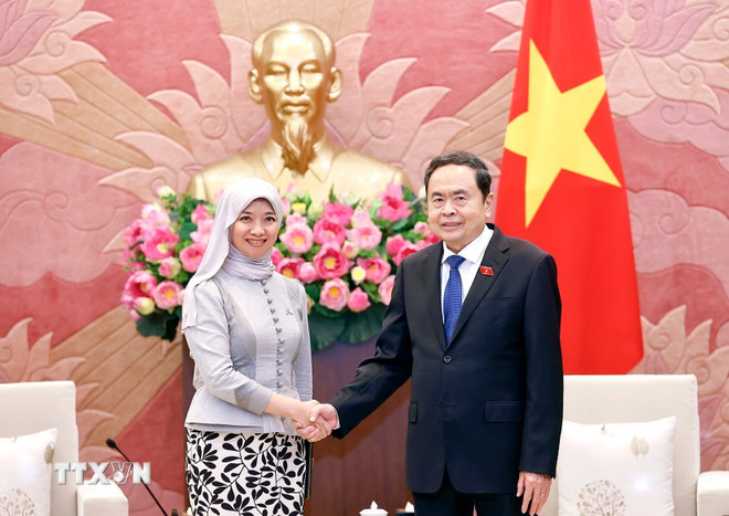 Việt Nam là thành viên tích cực, trách nhiệm trong AIPA- Ảnh 1.