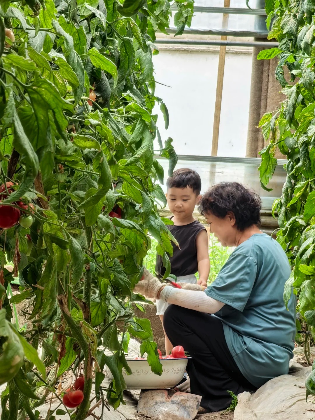 Ông bà có 3 điểm này con cháu vừa sinh ra đã đứng sẵn ở "vạch đích"- Ảnh 2.