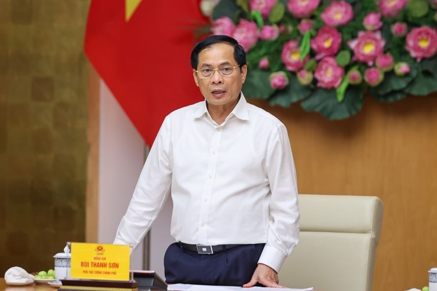 Thủ tướng chỉ đạo khẩn trương trình Quốc hội cơ chế đặc biệt hội nhập quốc tế- Ảnh 2. Thủ tướng chỉ đạo khẩn trương trình Quốc hội cơ chế đặc biệt hội nhập quốc tế- Ảnh 2.