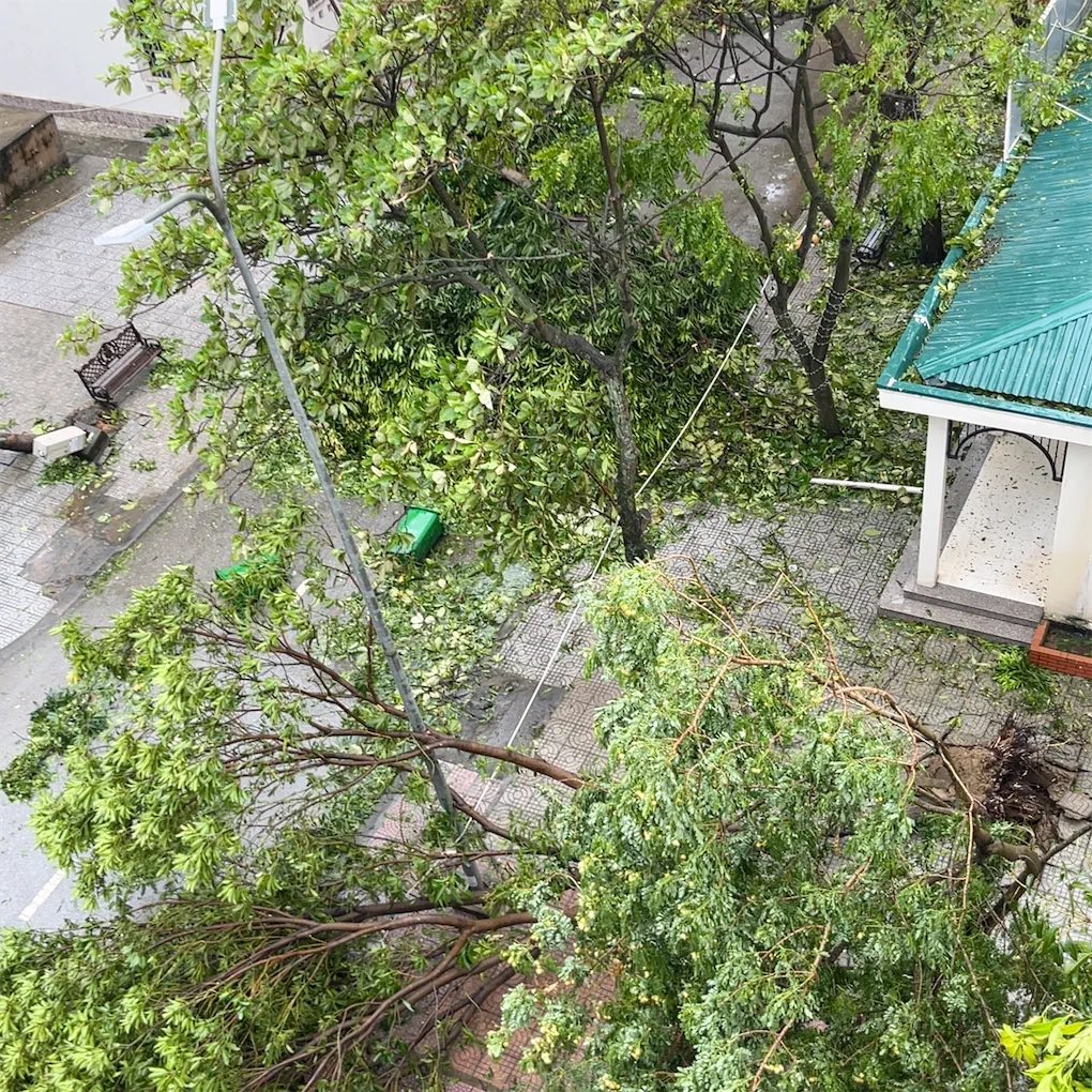 Khung cảnh khó tin tại các trường học ở miền Trung sau bão số 5: Sắp năm học mới rồi, mong mọi thứ sớm ổn định!- Ảnh 3.