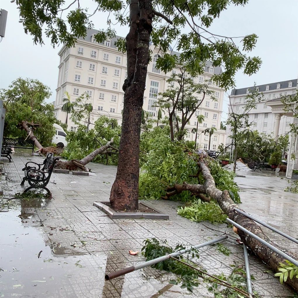 Khung cảnh khó tin tại các trường học ở miền Trung sau bão số 5: Sắp năm học mới rồi, mong mọi thứ sớm ổn định!- Ảnh 5.