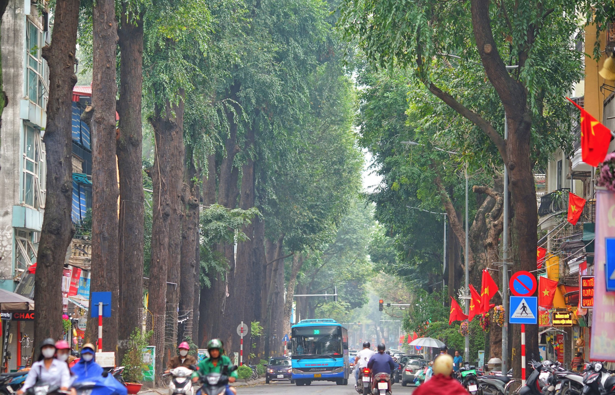 “Báu vật” hơn 100 tuổi giữa lòng Hà Nội: Vì sao sao đen sống lâu bậc nhất?- Ảnh 1. “Báu vật” hơn 100 tuổi giữa lòng Hà Nội: Vì sao sao đen sống lâu bậc nhất?- Ảnh 1.