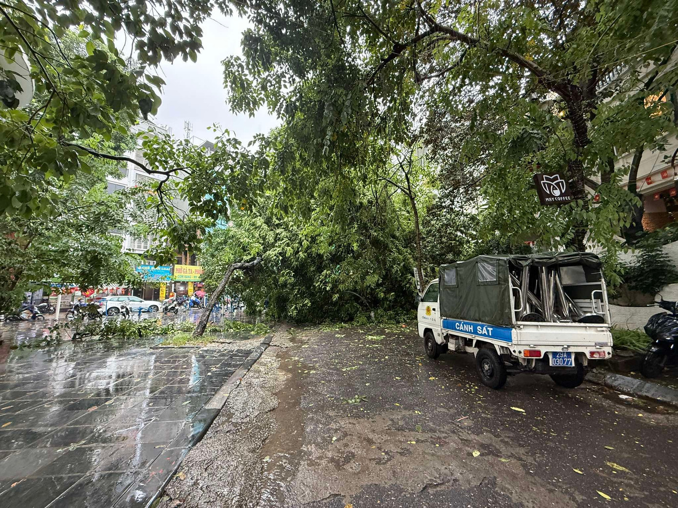 Hà Nội: Cây xà cừ cổ thụ đổ đè bẹp 2 ô tô trên phố Trung Kính- Ảnh 3. Hà Nội: Cây xà cừ cổ thụ đổ đè bẹp 2 ô tô trên phố Trung Kính- Ảnh 3.