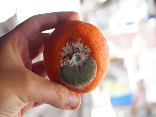 5 thực phẩm là "vua thối gan" nhiều người vẫn ăn hàng ngày mà không hề hay biết- Ảnh 1.