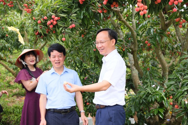 Đặc sản Việt Nam ghi nhận kỷ lục chưa từng có, vừa hết vụ đã có đối tác lớn từ Mỹ đặt hàng cho năm sau- Ảnh 3. Đặc sản Việt Nam ghi nhận kỷ lục chưa từng có, vừa hết vụ đã có đối tác lớn từ Mỹ đặt hàng cho năm sau- Ảnh 3.