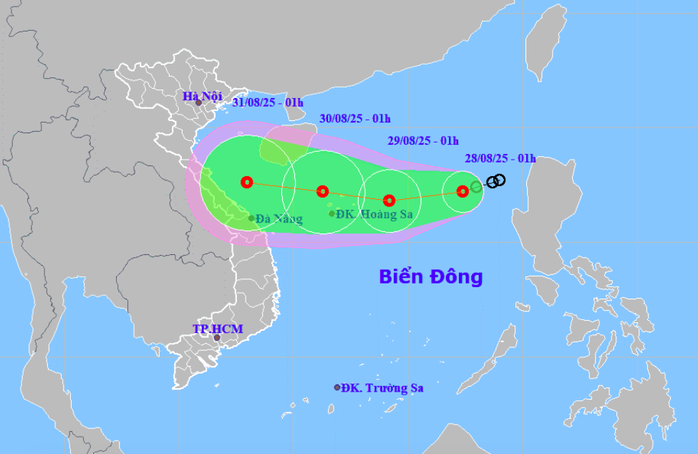 Tin mới về áp thấp nhiệt đới trên Biển Đông- Ảnh 1.