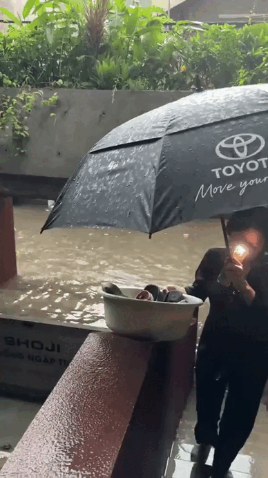 Viral nhất TikTok: Ngôi nhà "bất khả xâm phạm" giữa biển nước Hà Nội nhờ cửa chống ngập 200 triệu, chủ nhà là ông trùm chuỗi Nhậu Tự Do cực hot!- Ảnh 9.