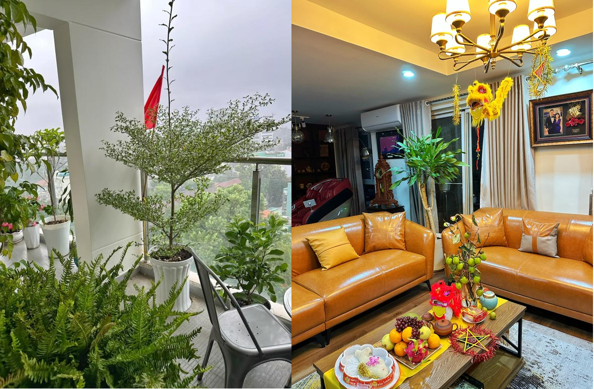 Nam MC giàu nhất nhì Việt Nam: Ở nhà tiền tỷ, chủ nhà hàng 5 tầng 2 mặt tiền quận 3, 41 tuổi chưa vợ- Ảnh 5. Nam MC giàu nhất nhì Việt Nam: Ở nhà tiền tỷ, chủ nhà hàng 5 tầng 2 mặt tiền quận 3, 41 tuổi chưa vợ- Ảnh 5.