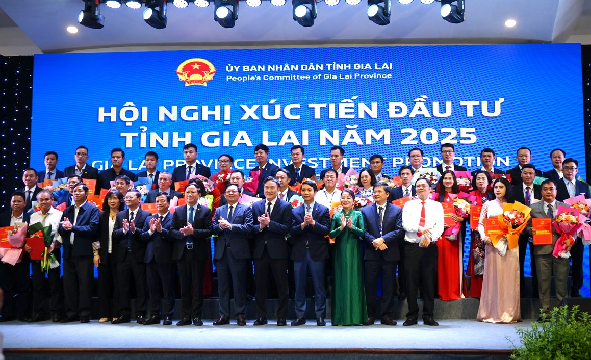 69 dự án, gần 120.000 tỉ đồng đầu tư vào Gia Lai- Ảnh 1.